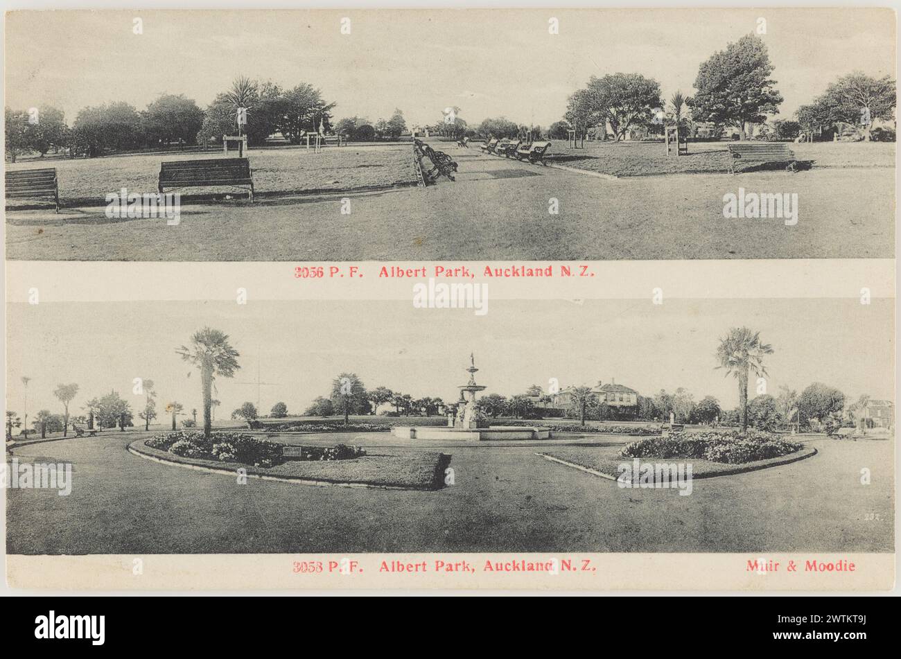 Albert Park, Auckland, Neuseeland Fotopostkarten Stockfoto