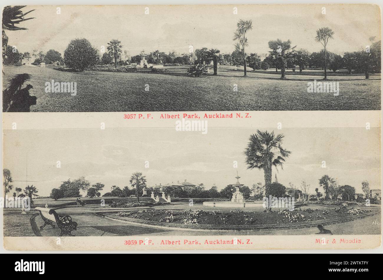 Albert Park, Auckland Fotopostkarten Stockfoto