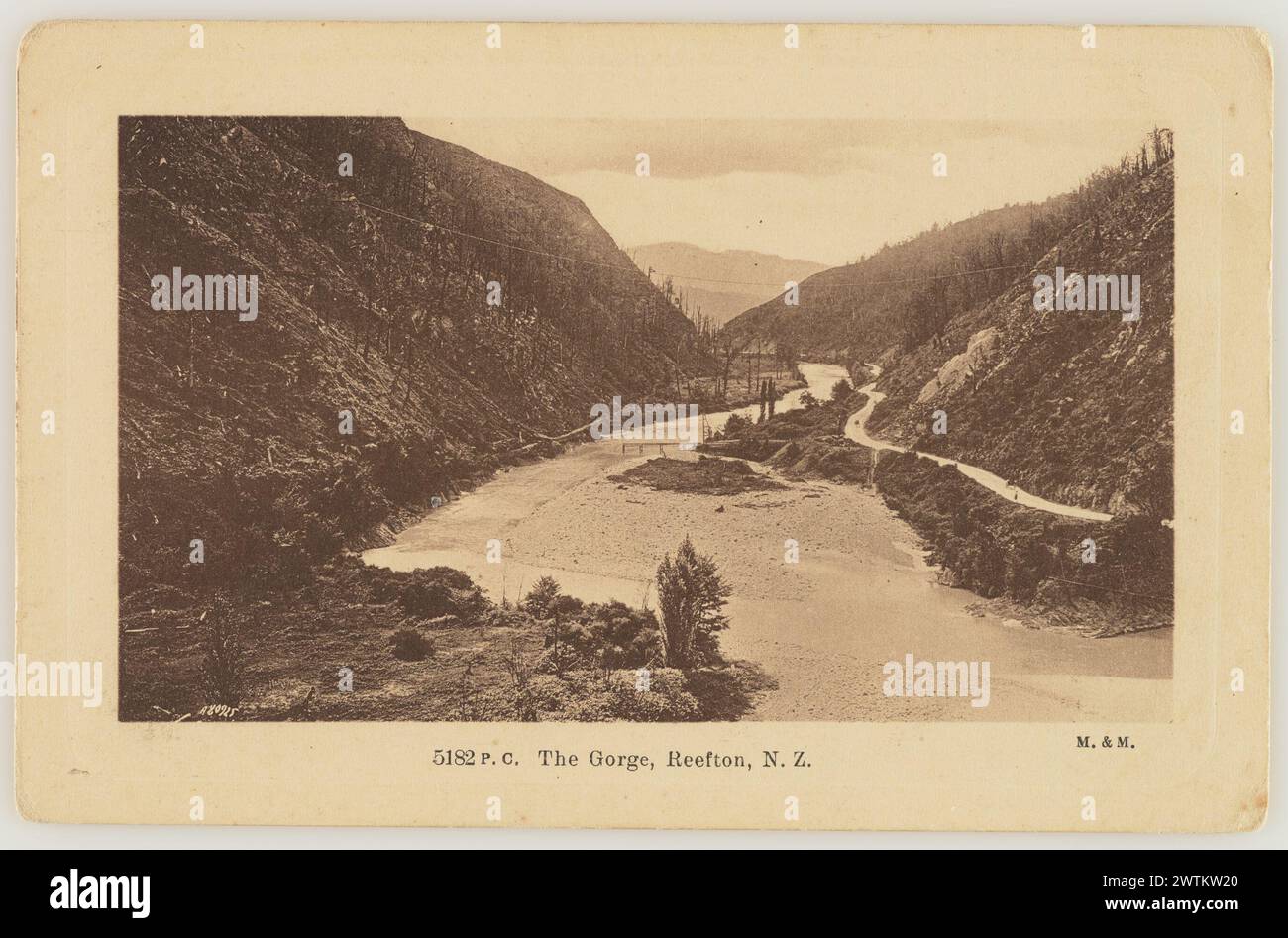 Die Schlucht, Reefton, Neuseeland Fotopostkarten Stockfoto