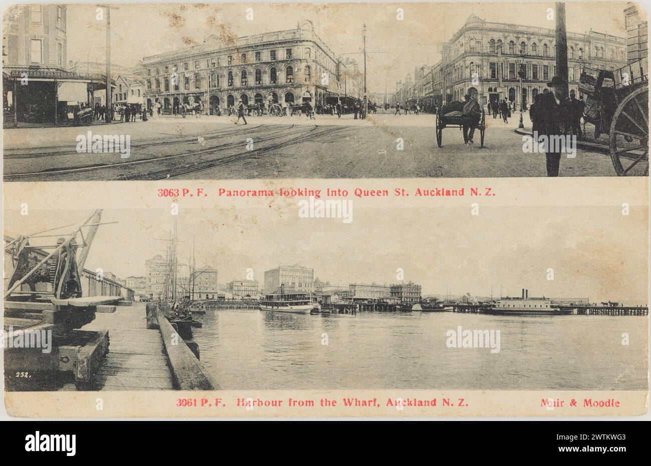 Queen Street und Hafen, Auckland Fotopostkarten Stockfoto