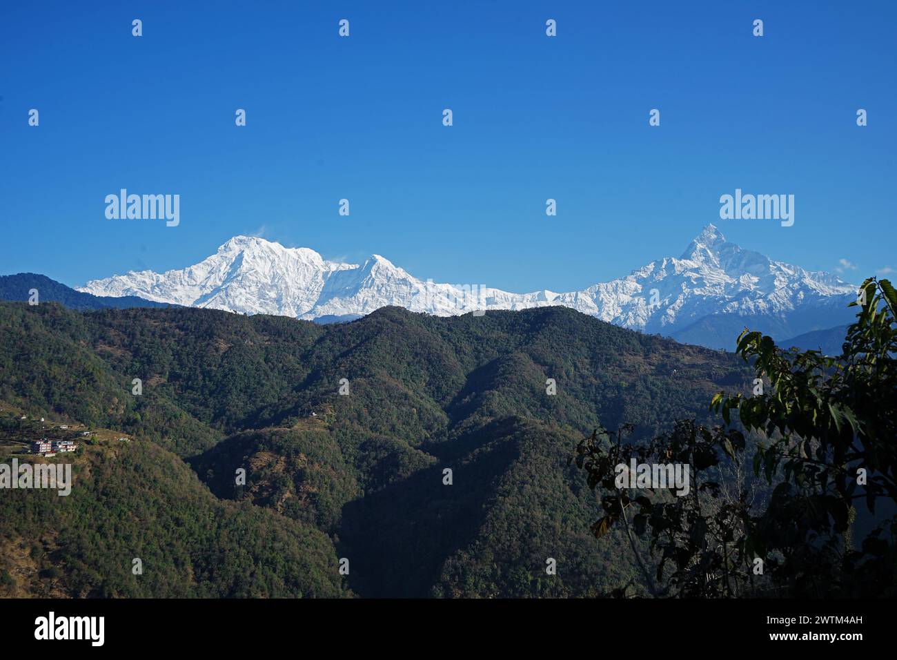 Blick auf die natürliche Landschaft auf die grüne felsige Bergklippe mit nebligen und nebeligen Wolken Stockfoto