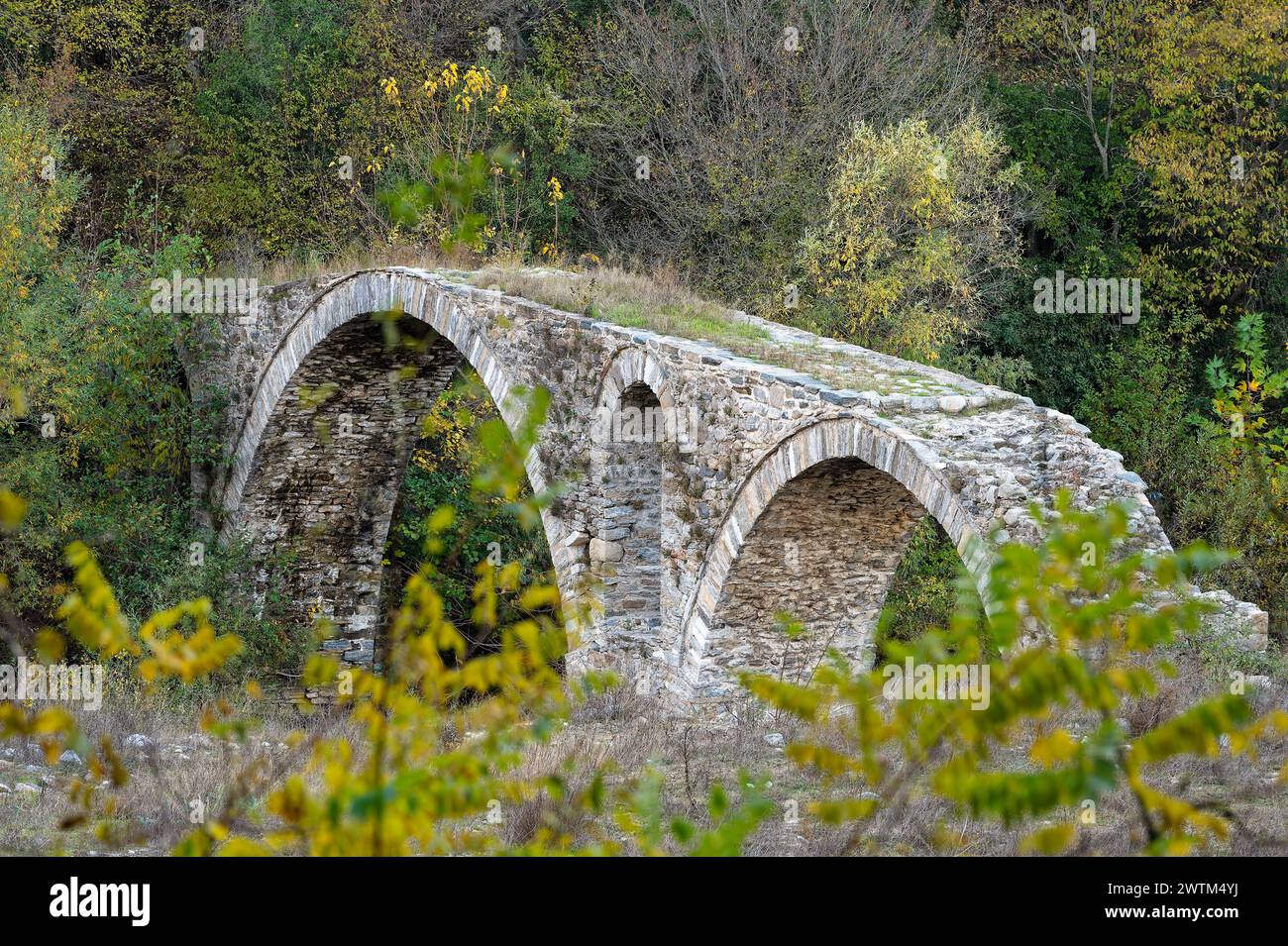 Blick auf eine traditionelle Steinbrücke am Kosynthos Fluss in Thrakien, Griechenland Stockfoto