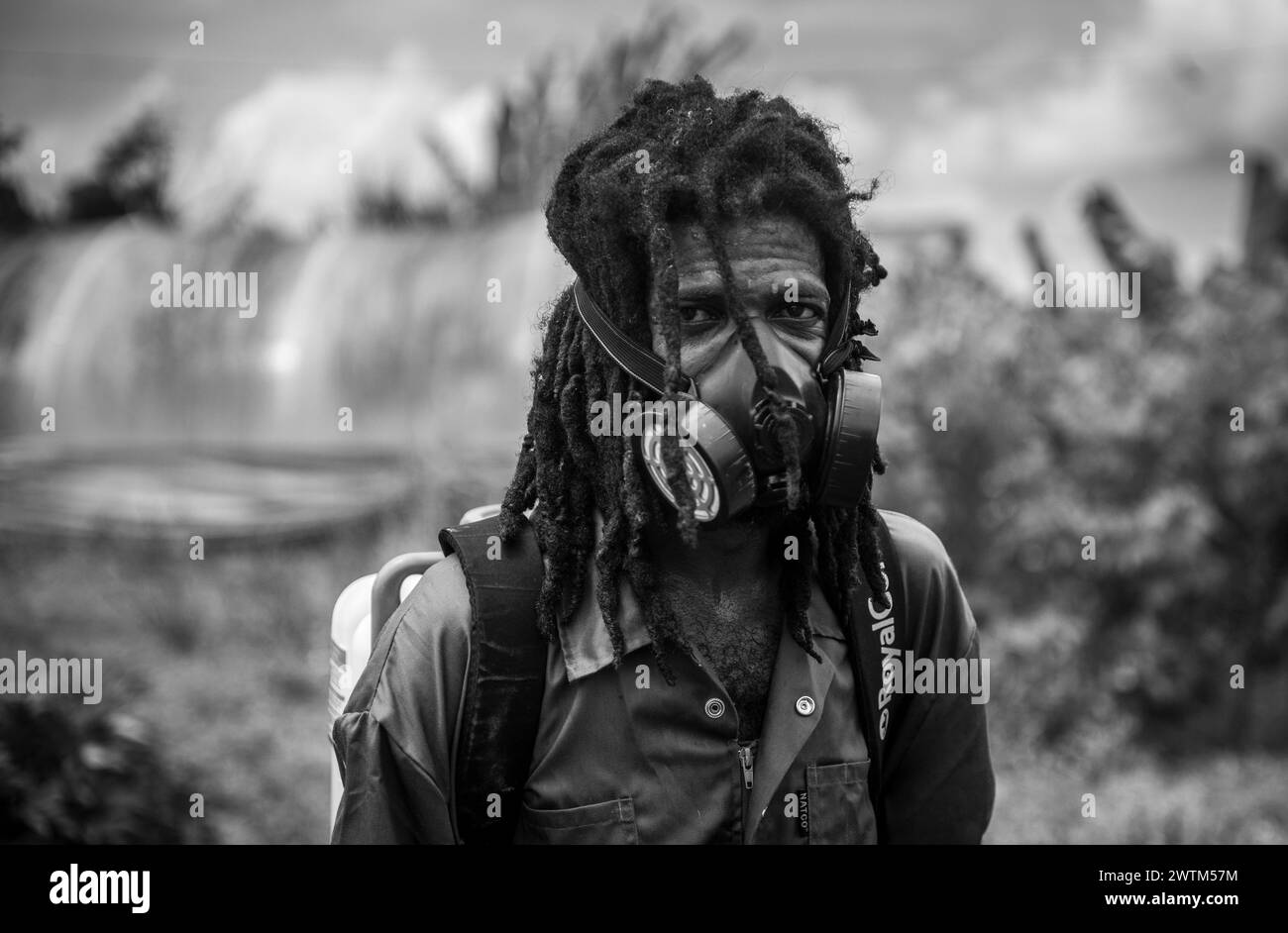 Mann sprüht Herbizid Trinidad und Tobago Stockfoto