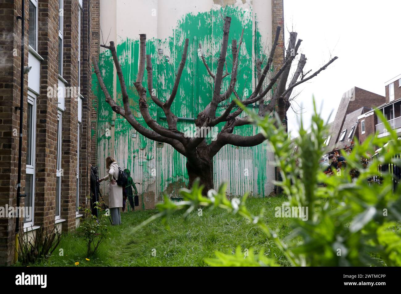 London, Großbritannien. März 2024. Das neue Banksy-Kunstwerk erscheint im Finsbury Park. Das graffierte Wandgemälde erschien an einer Wand neben einem Baum an der Hornsey Road im Norden Londons. Quelle: SOPA Images Limited/Alamy Live News Stockfoto