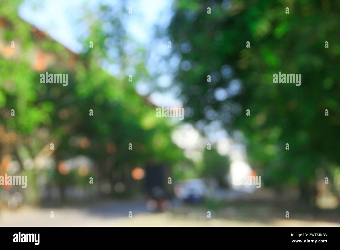 Unscharfer Hintergrund durch grüne Bäume, Sonnenlicht und Straße Stockfoto