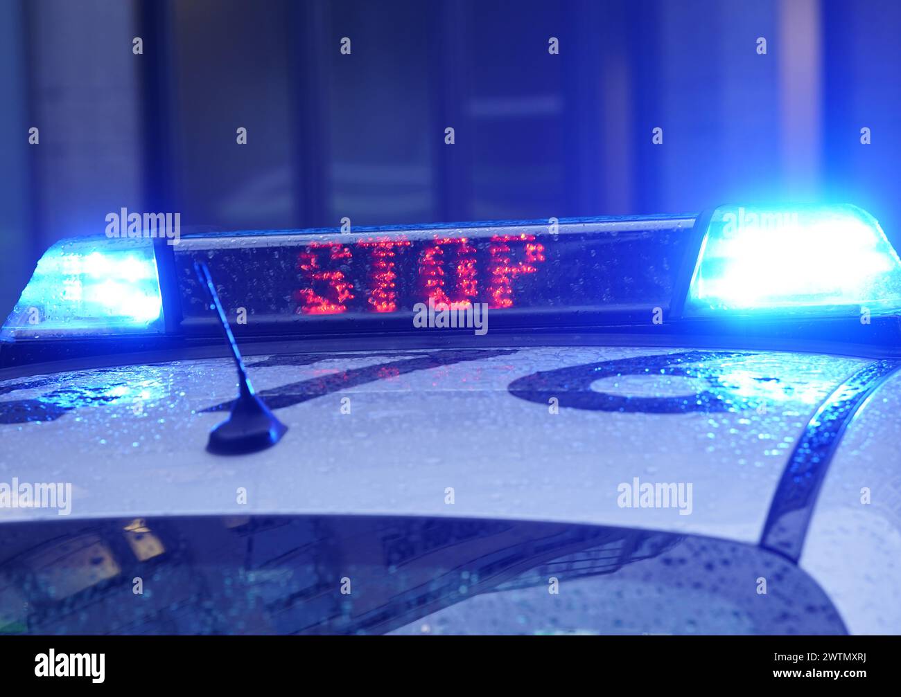 Hamburg, Deutschland. März 2024. Das Wort „Stop“ steht neben dem blauen Licht auf dem Dach eines Polizeiwagens. Quelle: Marcus Brandt/dpa/Alamy Live News Stockfoto