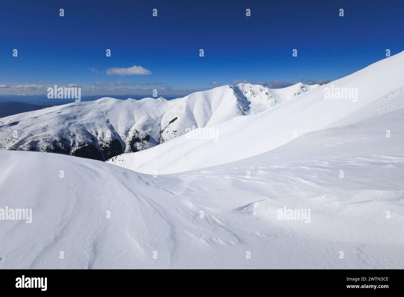 Blick von Baranec, Westtatra, Slowakei. Wunderschöne Winterlandschaft mit Bergen ist im Winter von Schnee bedeckt. Sonniges Wetter mit klarem Blau Stockfoto