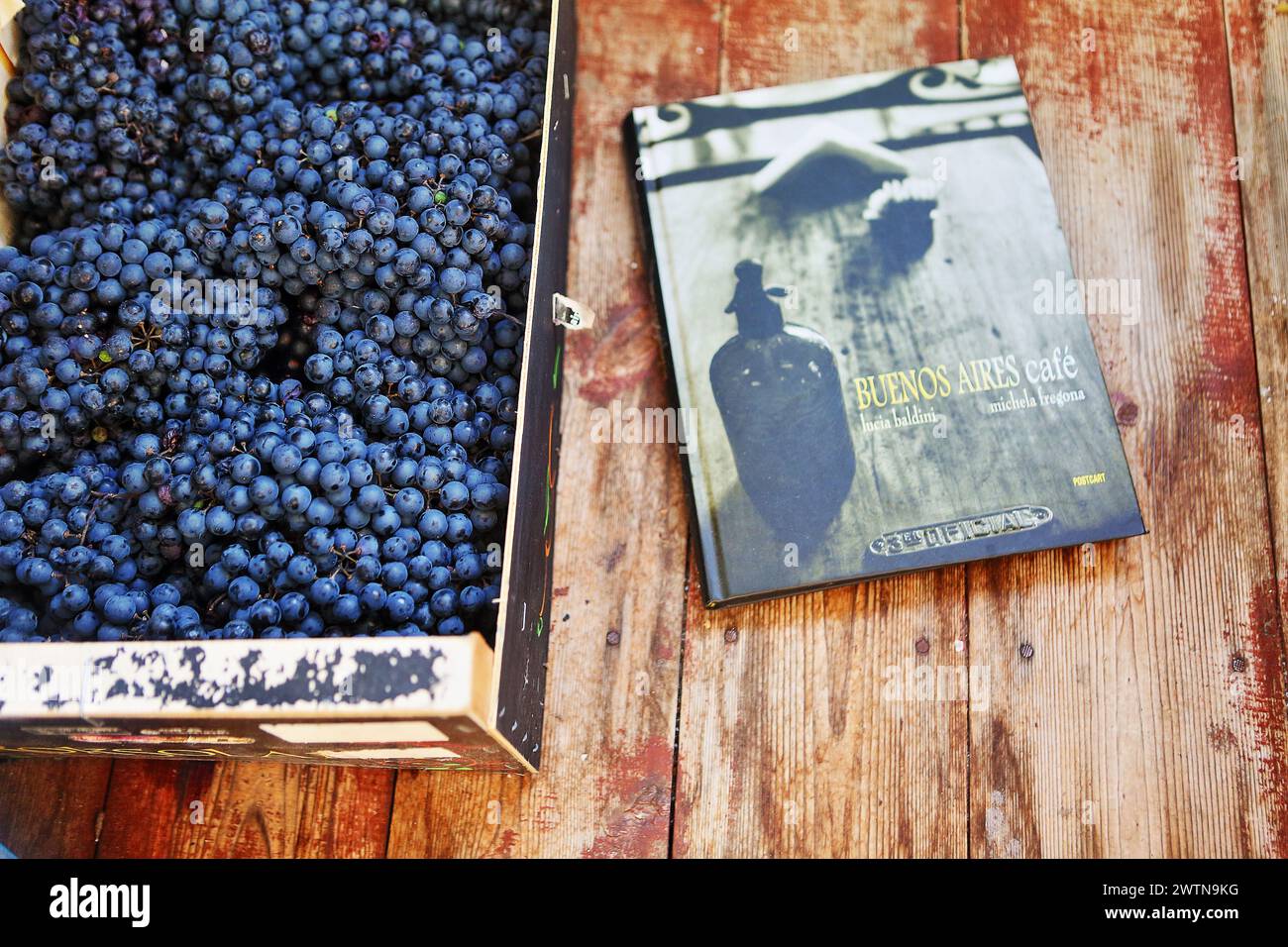 Italienisches Buch über Argentinien auf dem Holzboden des Künstlerbalkons. Frohe September Traubenernte und herrliches italienisches Fotobuch-Design Stockfoto