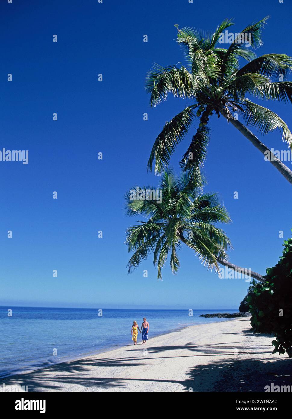 Fidschi. Pärchen, die am tropischen Strand spazieren gehen. Stockfoto