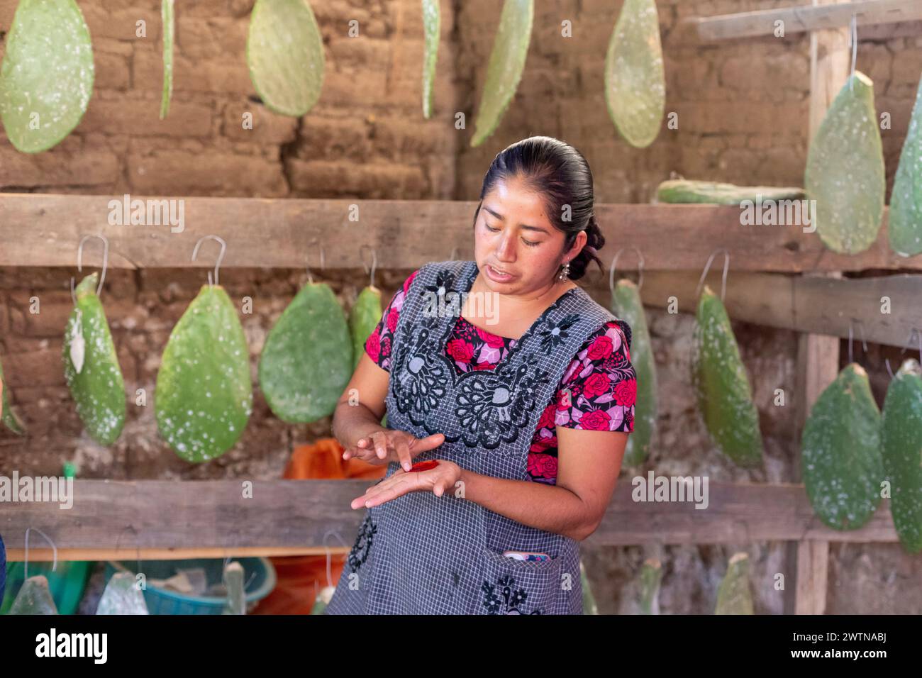 Teotitlan del Valle, Oaxaca, Mexiko - Frauen im ländlichen Raum im Tlacolula-Tal von Oaxaca profitieren von einem Mikrofinanzierungsdarlehensprogramm der gemeinnützigen Organisation EN V Stockfoto