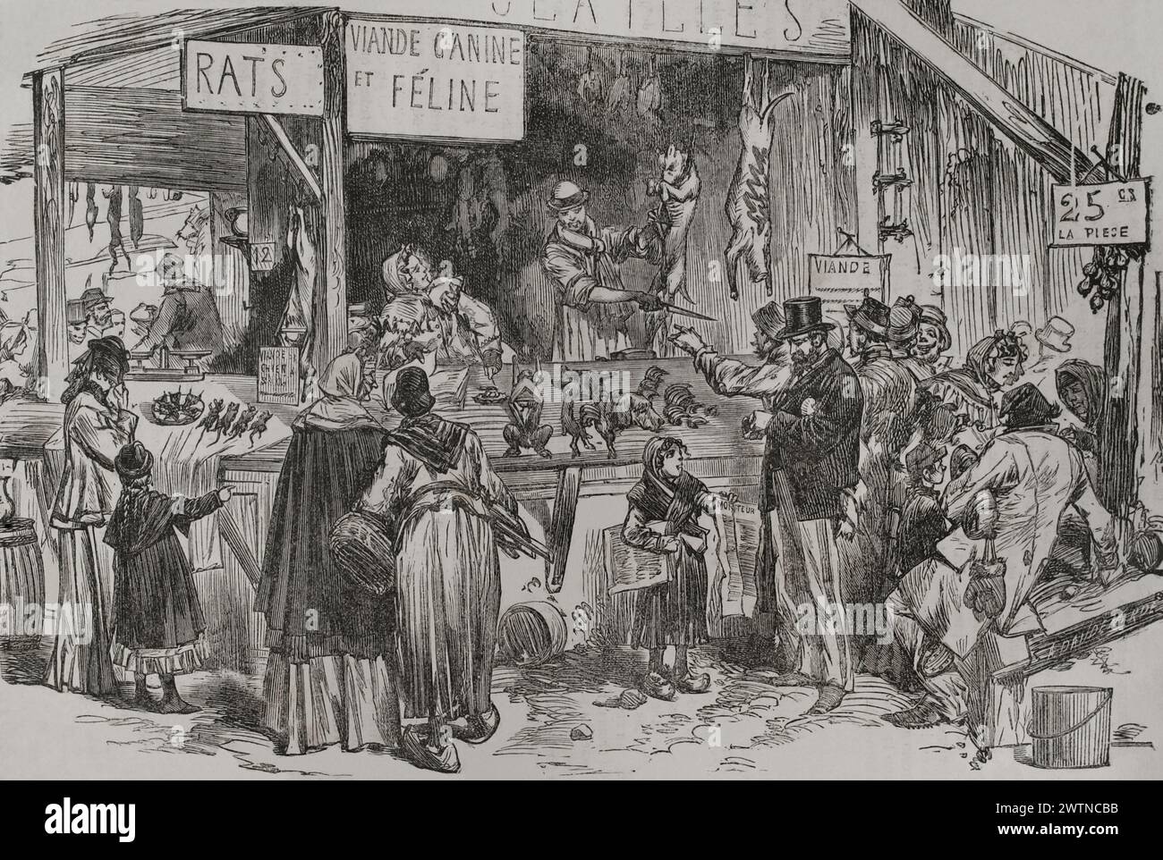 Deutsch-Französischer Krieg (1870–1871). Belagerung von Paris (19. September 1870 bis 28. Januar 1871). Verkaufsstand für Hunde-, Katzen- und Rattenfleisch in der Faubourg Saint-Germain während der Belagerung der Stadt. Gravur. Historia de la Guerra de Francia y Prusia (Geschichte des Krieges zwischen Frankreich und Preußen). Band II Veröffentlicht in Barcelona, 1871. Stockfoto