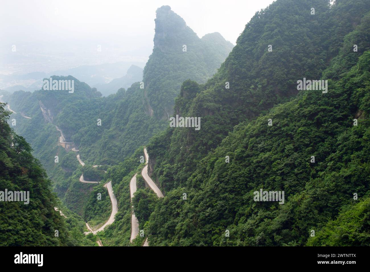 Die Avenue Toward Heaven oder 99-Bend Road am Tianmen Mountain erhielt ihren Namen mit ebenso vielen Serpentinen. Stockfoto