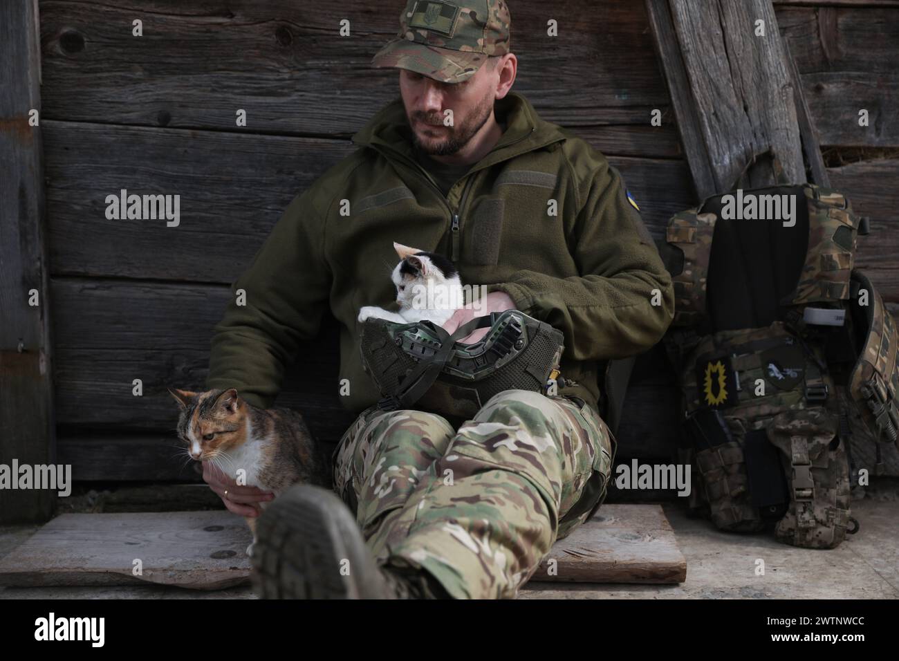 Ein ukrainischer Soldat ruht sich drinnen mit streunenden Katzen aus Stockfoto