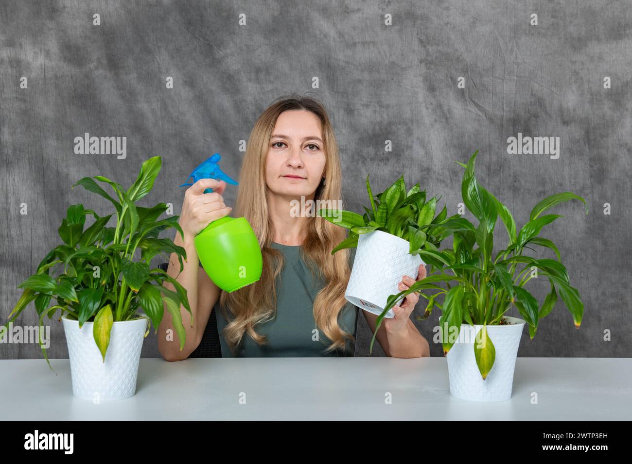 Blondes Mädchen, das an einem Tisch sitzt und üppige grüne Pflanzen mit Sprenger bewässert Stockfoto