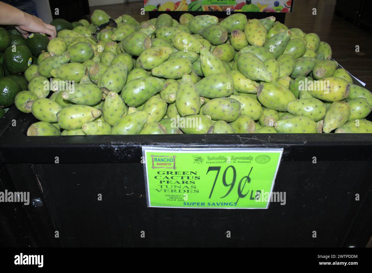 Green Cactus Birnen Nahaufnahme auf dem Racho Market Stockfoto