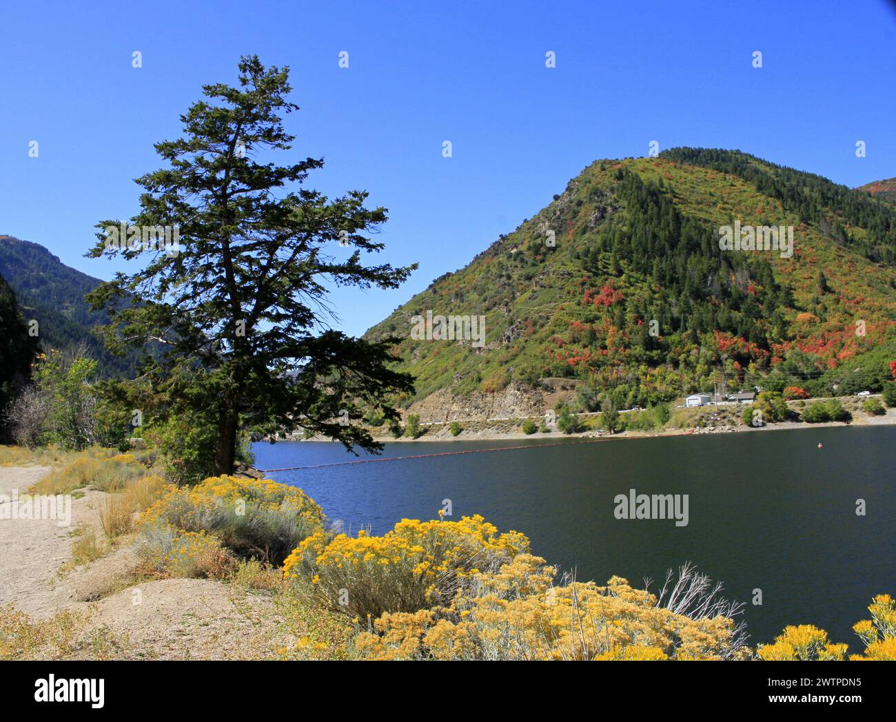 Echo Reservoir in der Wasatch Range bei Ogden, Utah, mit Bäumen und Bergen Stockfoto