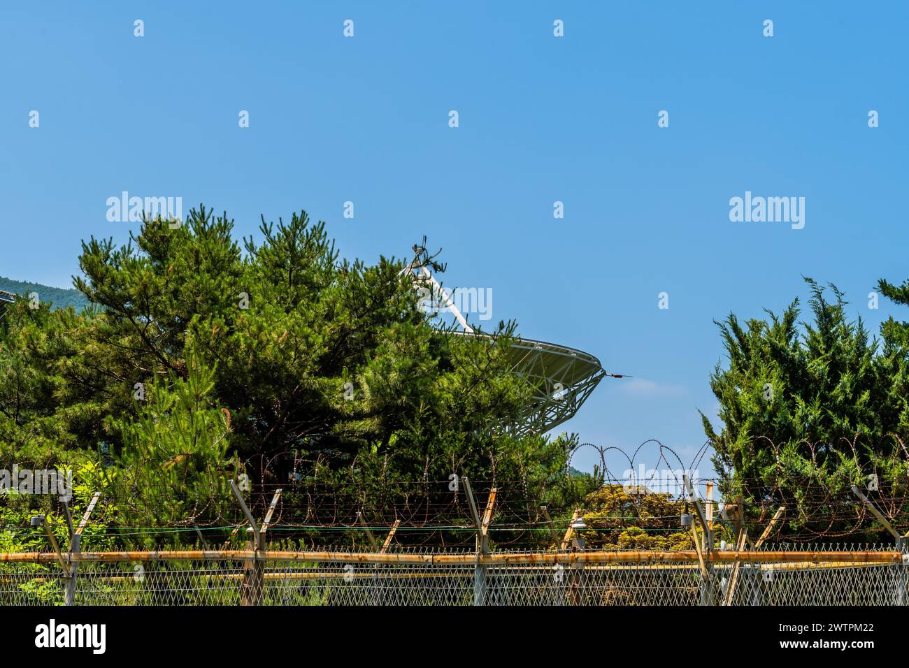 Satellitenschüssel teilweise von Bäumen verdeckt und hinter einem Zaun in Südkorea gesichert Stockfoto