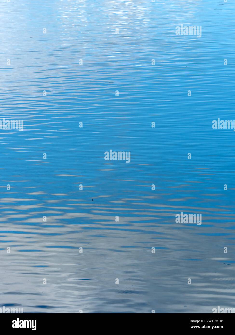 Ein stilles Gewässer im Traunsee, Himmel und Wolken spiegeln sich im Wasser, Österreich, Europa Stockfoto