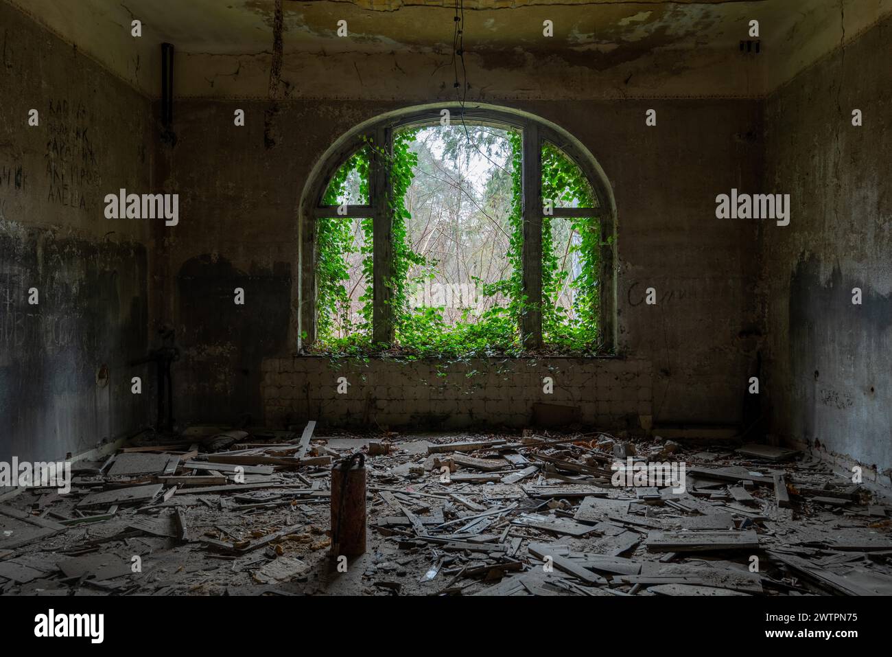 Gebrochenes Fenster mit grüner Kletterpflanze, Beelitz-Heilstaetten, ehemaliges Lungensanatorium, von 1945 bis 1994 Militärkrankenhaus der sowjetischen Armee, heute Stockfoto