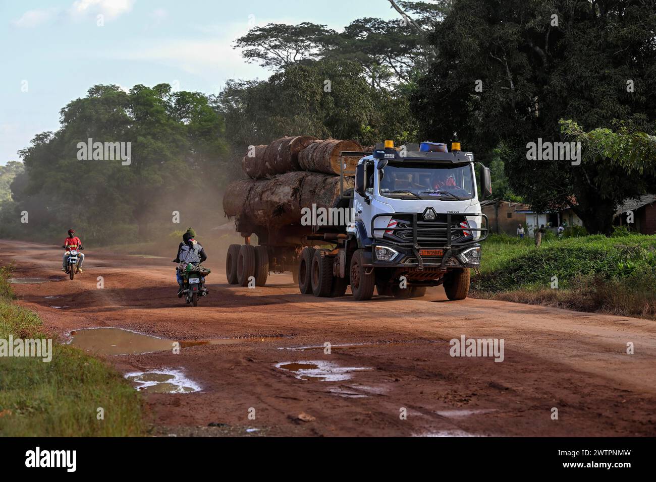 Lastkraftwagen mit Tropenholz aus dem Kongo-Becken, in der Nähe von Yokadouma, Bezirk Boumba-et-Ngoko, Region Est, Kamerun, Afrika Stockfoto