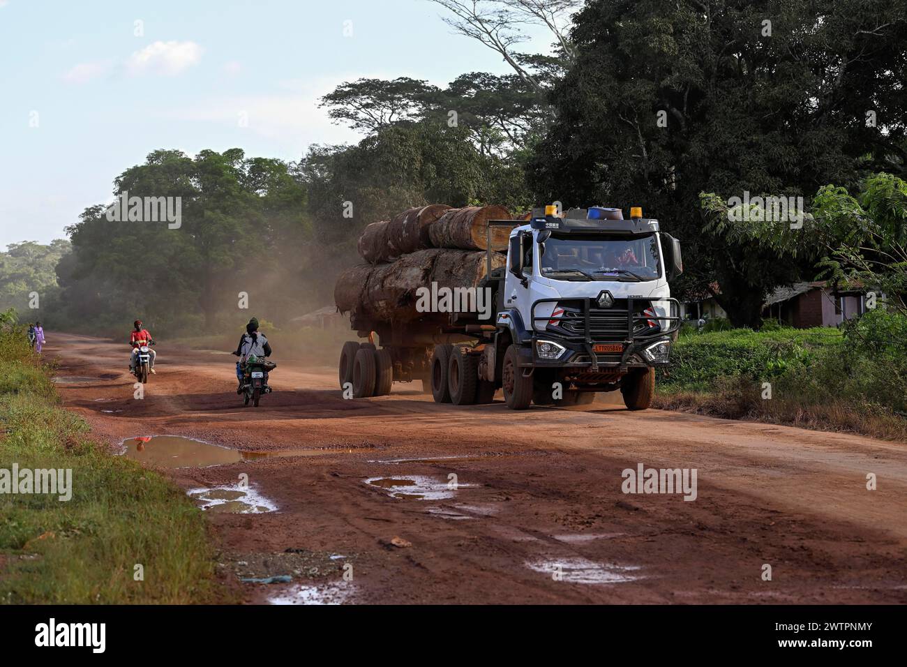 Lastkraftwagen mit Tropenholz aus dem Kongo-Becken, in der Nähe von Yokadouma, Bezirk Boumba-et-Ngoko, Region Est, Kamerun, Afrika Stockfoto