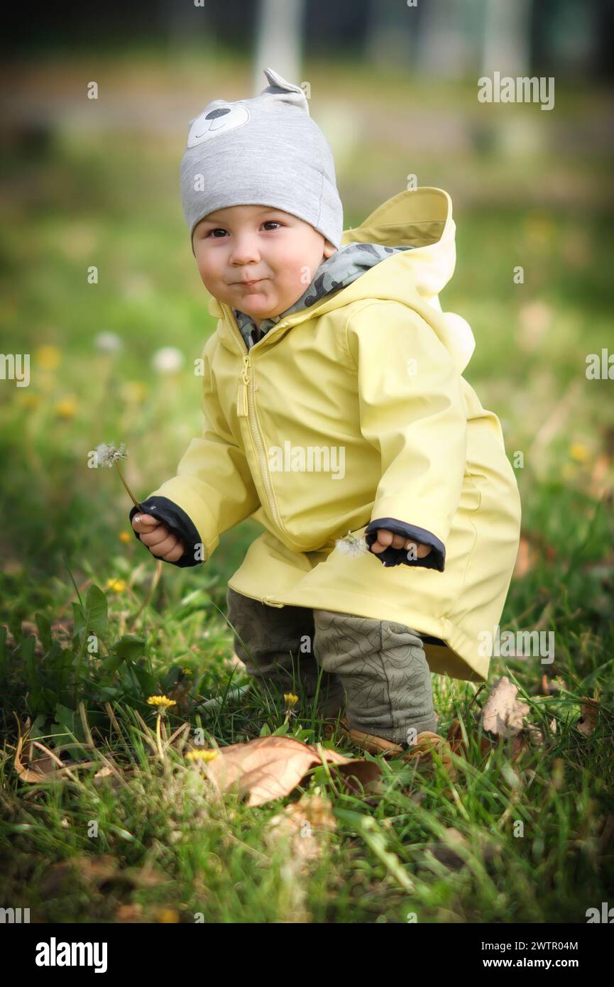 Glücklicher kleiner Junge, der Löwenzahn auf einem grünen Feld pflückt. Niedliches Kleinkind, das die Natur erkundet. Nahaufnahme Stockfoto