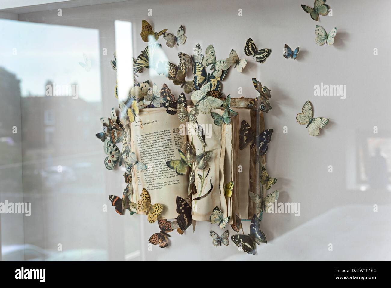Schmetterlinge und ein offenes Buch in Blakeney, Norfolk, Großbritannien Stockfoto