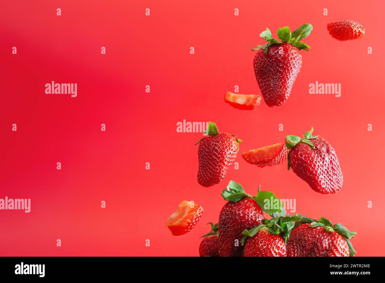Ganze und geschnittene Erdbeeren, die auf einen Haufen anderer Erdbeeren fallen. Isoliert auf leuchtendem rotem Hintergrund. Stockfoto
