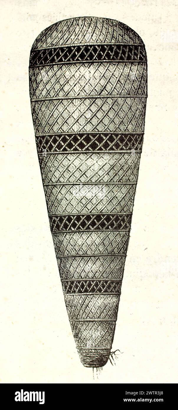 Mumifiziertes afrikanisches Heiliges Ibis, eingewickelt in gemusterte Verbände, aufbewahrt im Nationalmuseum für Naturgeschichte in Paris. Unbekannter Autor, veröffentlicht 1852 Stockfoto