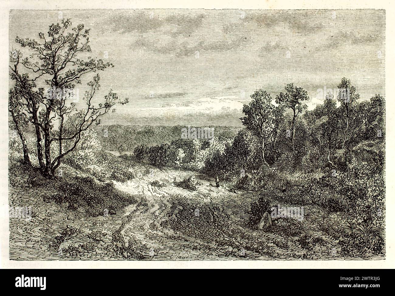 Alte Sicht auf den Wald von Fontainebleau, Frankreich. Erstellt von Francais nach pron, veröffentlicht auf Magasin Pittoresque, Paris, 1852 Stockfoto