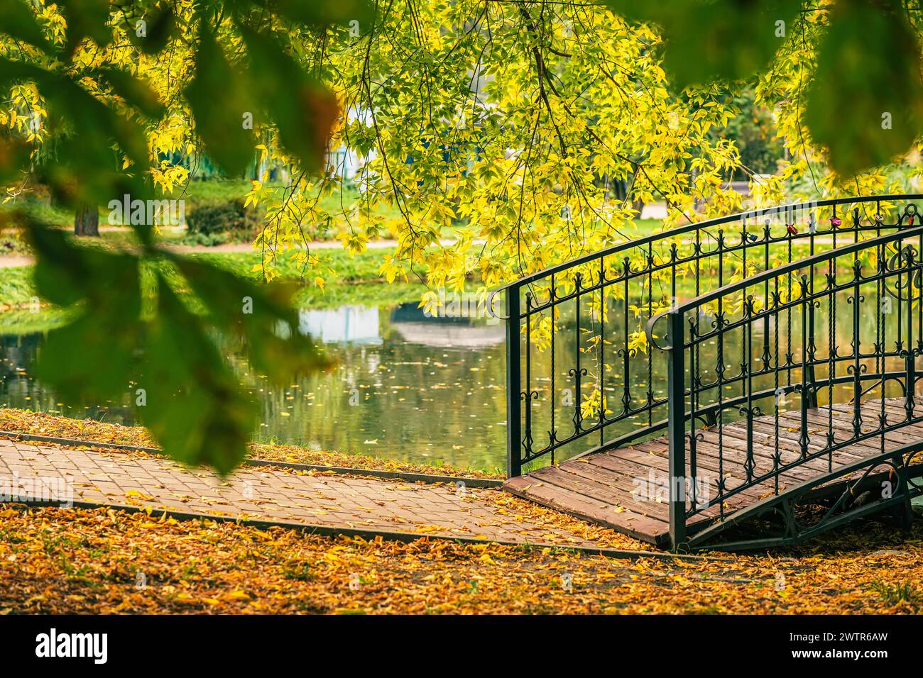 Metallbrücke über einem Teich mit gelben Blättern auf dem Boden. Herbst, Laubfall-Konzept Stockfoto