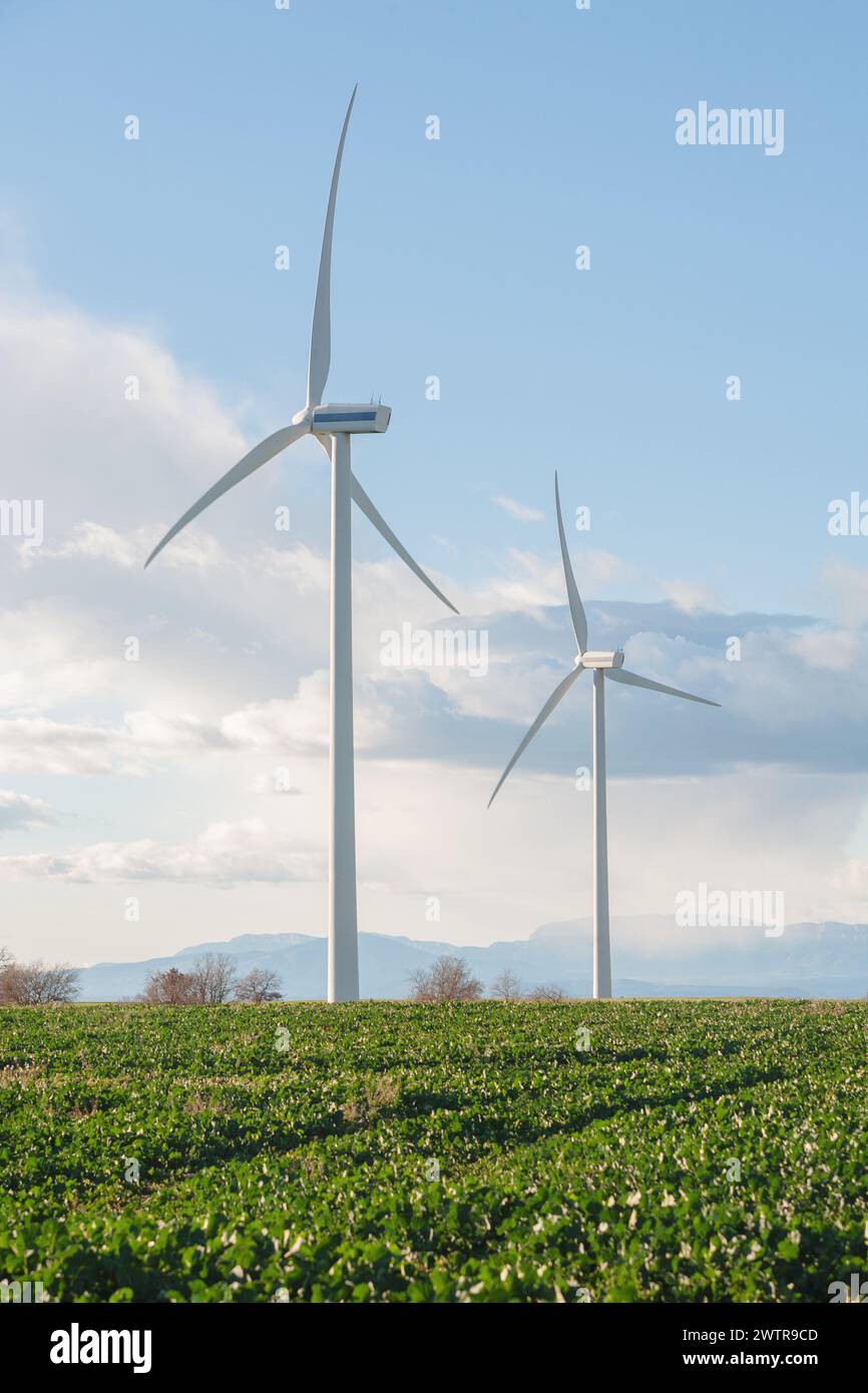 Zwei Windmühlen erheben sich aus grünen Feldern. Erneuerbare Energien. Nachhaltige Energie. Stockfoto