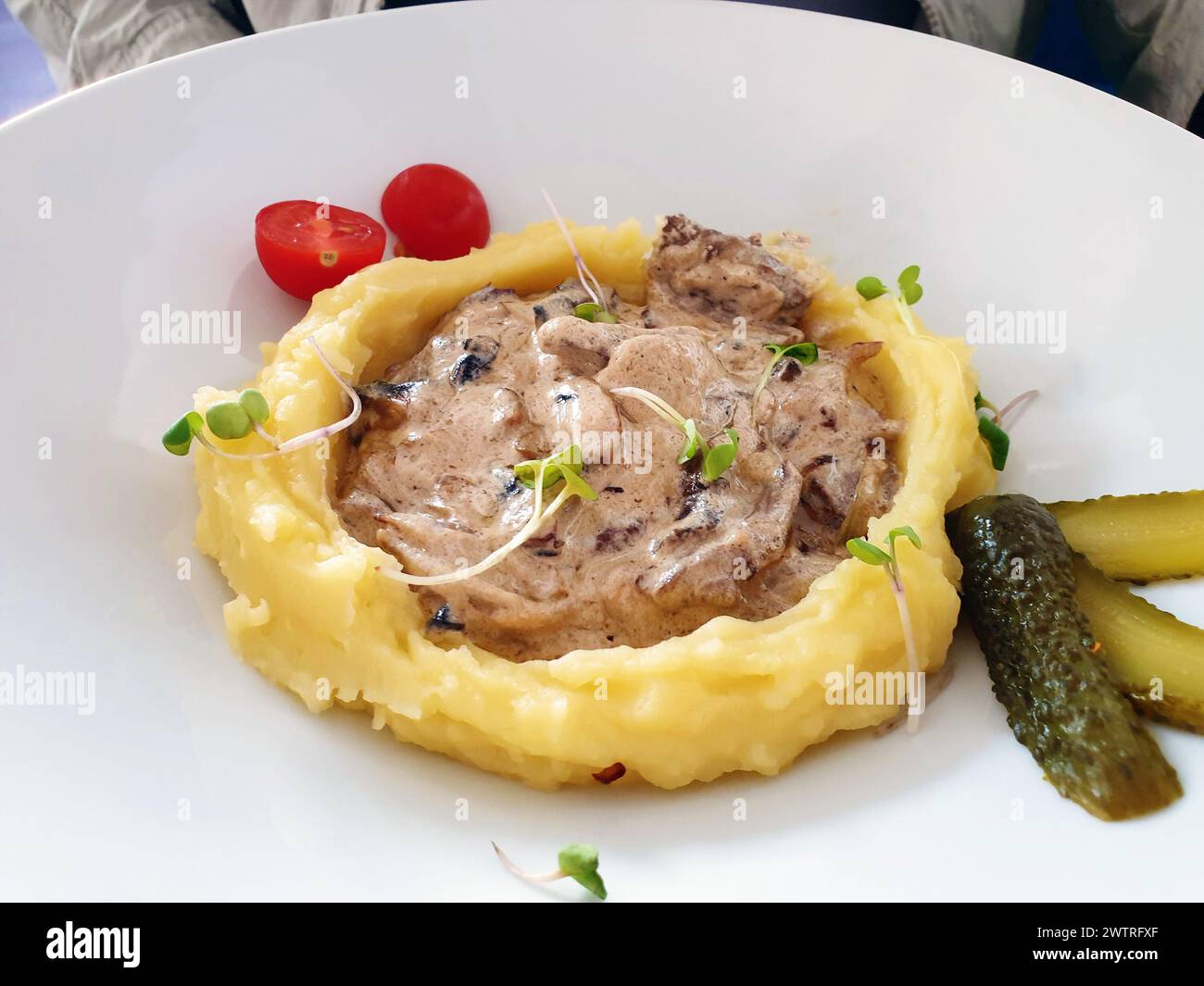 Rinderstroganoff-Eintopf in einem Kartoffelpüree mit eingelegter Gurke und Tomate serviert im Café-Stil. Stockfoto