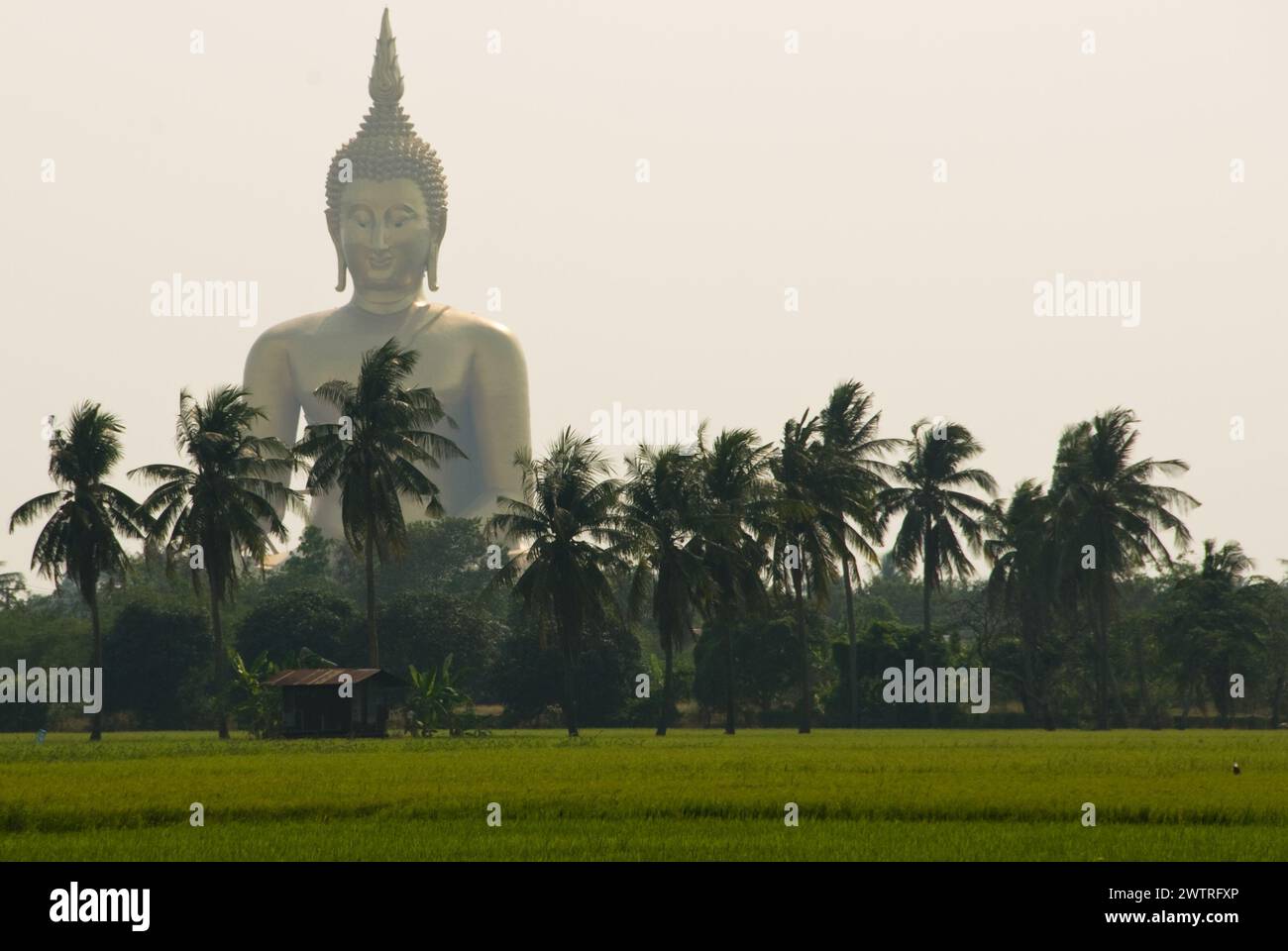 Große goldene Buddha-Statue am Wat Muang Tempel Wahrzeichen der Provinz angthong, Thailand Stockfoto