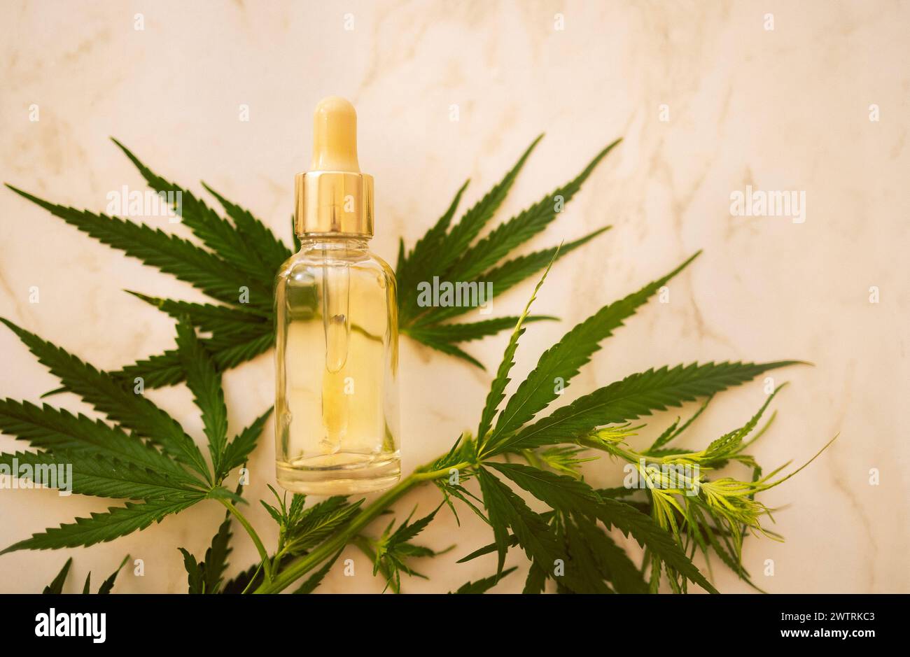 Eine nachgeahmte transparente Glasflasche mit einer Pipette mit einem feuchtigkeitsspendenden Konzentrat mit Hyaluronsäure und Cannabisblättern. Gesichtsserum mit Pepti Stockfoto