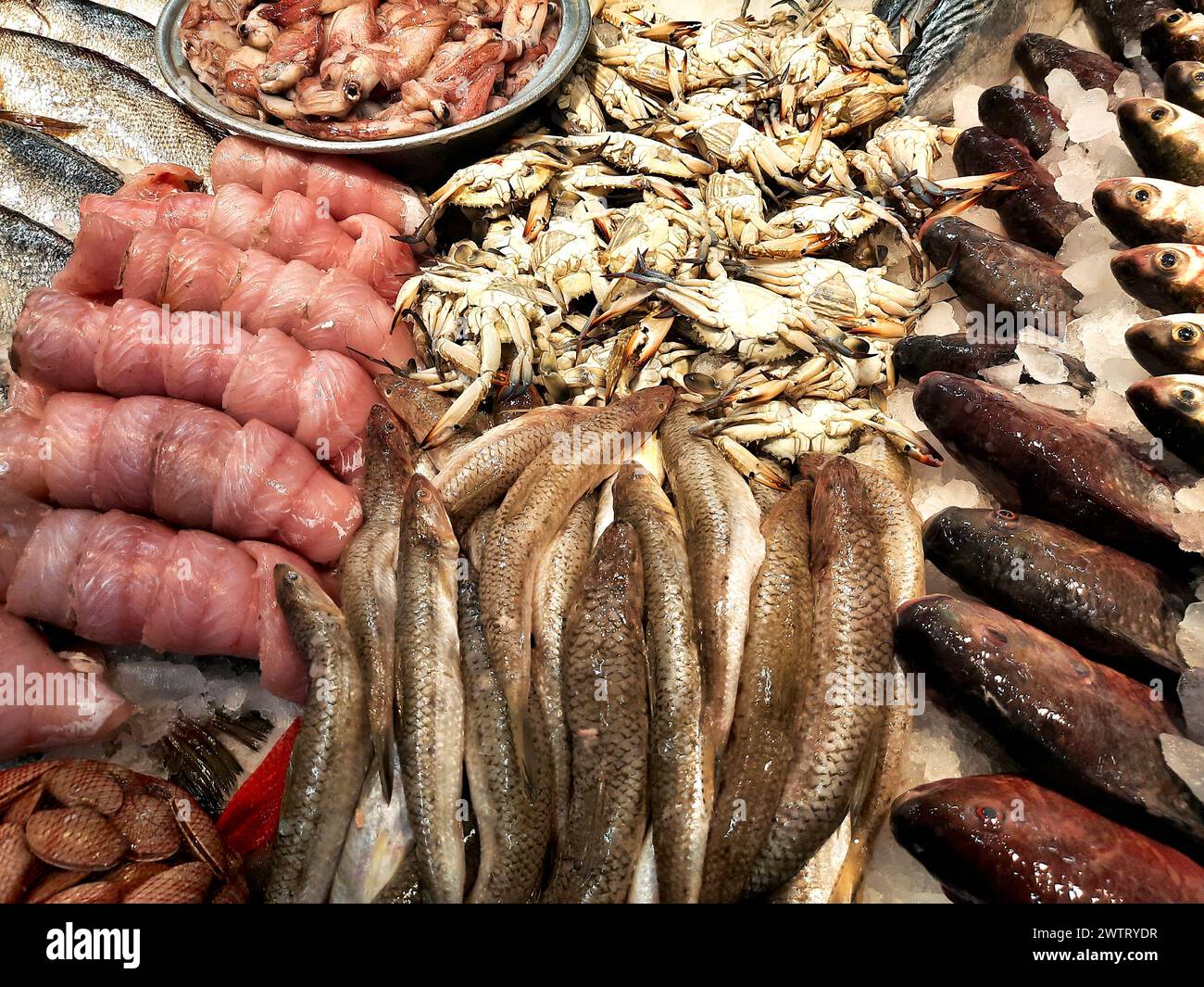 Frische Meeresfrüchte aus Tilapia-Fisch, Makrelen, Saurida undosquamis, der Brushtooth-Eidechsenfisch, große Grinner- oder Largescale-Saury, Krabben, Venusmuscheln, m Stockfoto