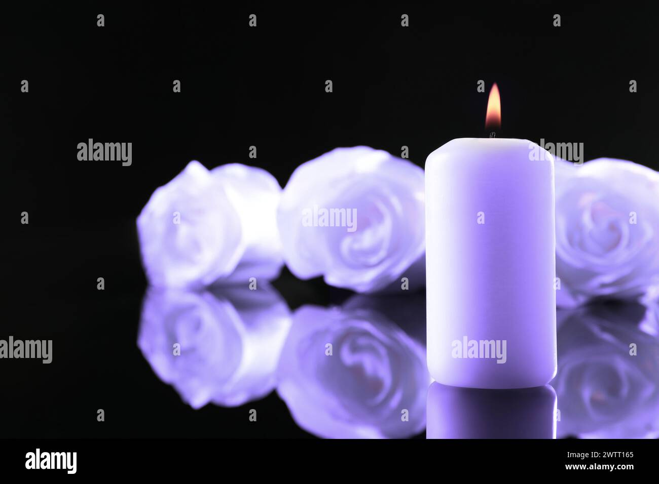 Violette Rosen und brennende Kerze auf schwarzer Spiegelfläche, Platz für Text. Beerdigungsattribute Stockfoto
