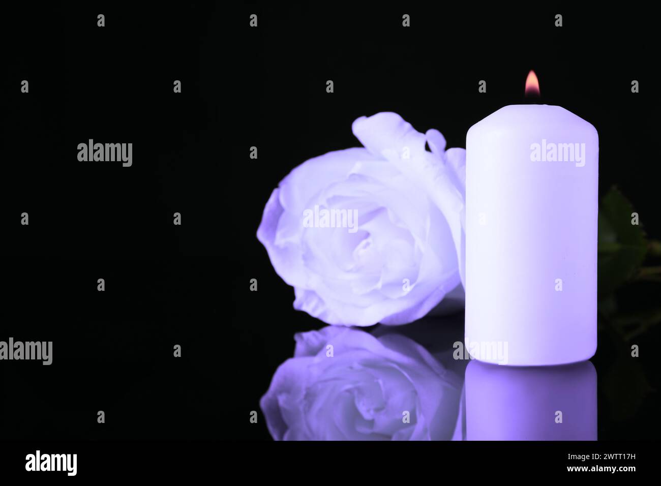 Violette Rose und brennende Kerze auf schwarzer Spiegelfläche, Platz für Text. Beerdigungsattribute Stockfoto