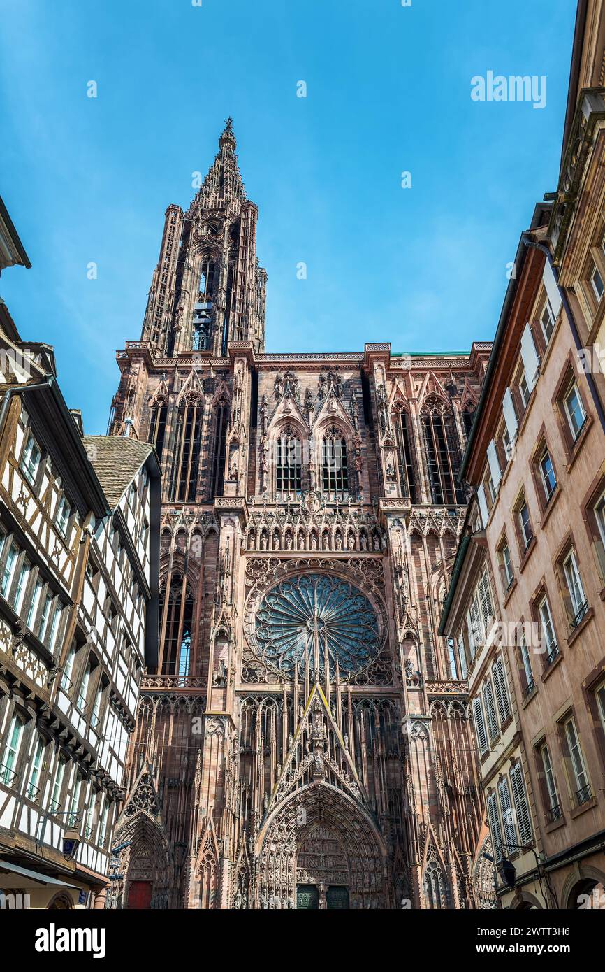 Vorderansicht der Kathedrale von Straßburg, Frankreich Stockfoto
