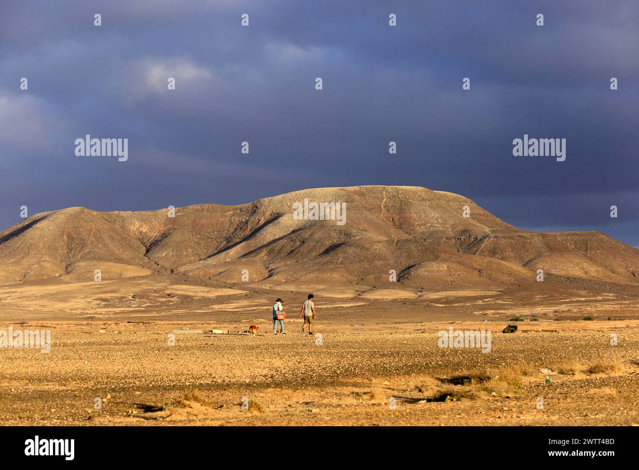 Dramatische Landschaft in der Nähe von El Cotillo, Fuerteventura, Kanarischen Inseln, Spanien. Stockfoto
