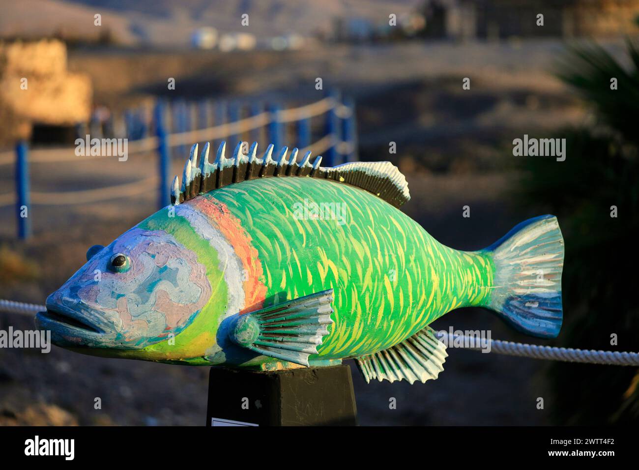 Skulptur des kunstvollen Rassen, Thalassoma Pavo, oberhalb des Fischerhafens, El Cotillo, Fuerteventura, Kanarische Inseln, Spanien. Stockfoto