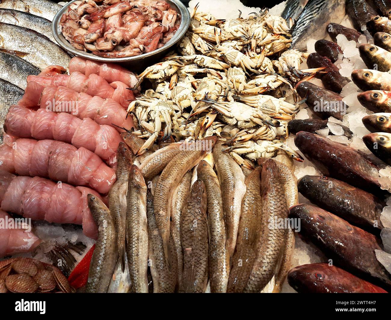 Frische Meeresfrüchte aus Tilapia-Fisch, Makrelen, Saurida undosquamis, der Brushtooth-Eidechsenfisch, große Grinner- oder Largescale-Saury, Krabben, Venusmuscheln, m Stockfoto