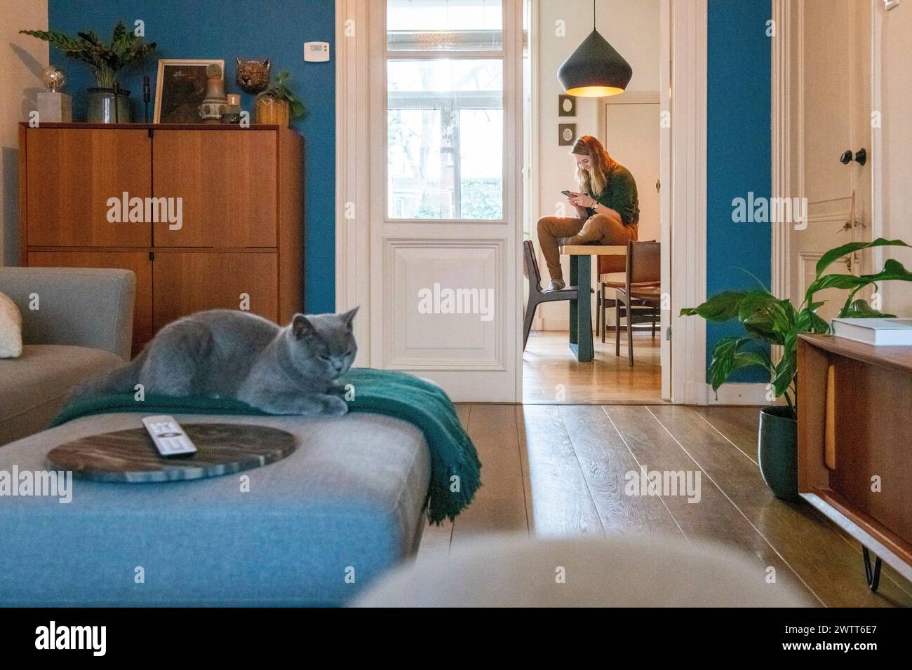 Gemütliches Zuhause mit einer Frau, die einen Moment genießt, und einer verschlafenen Katze, die in der Nähe liegt Stockfoto