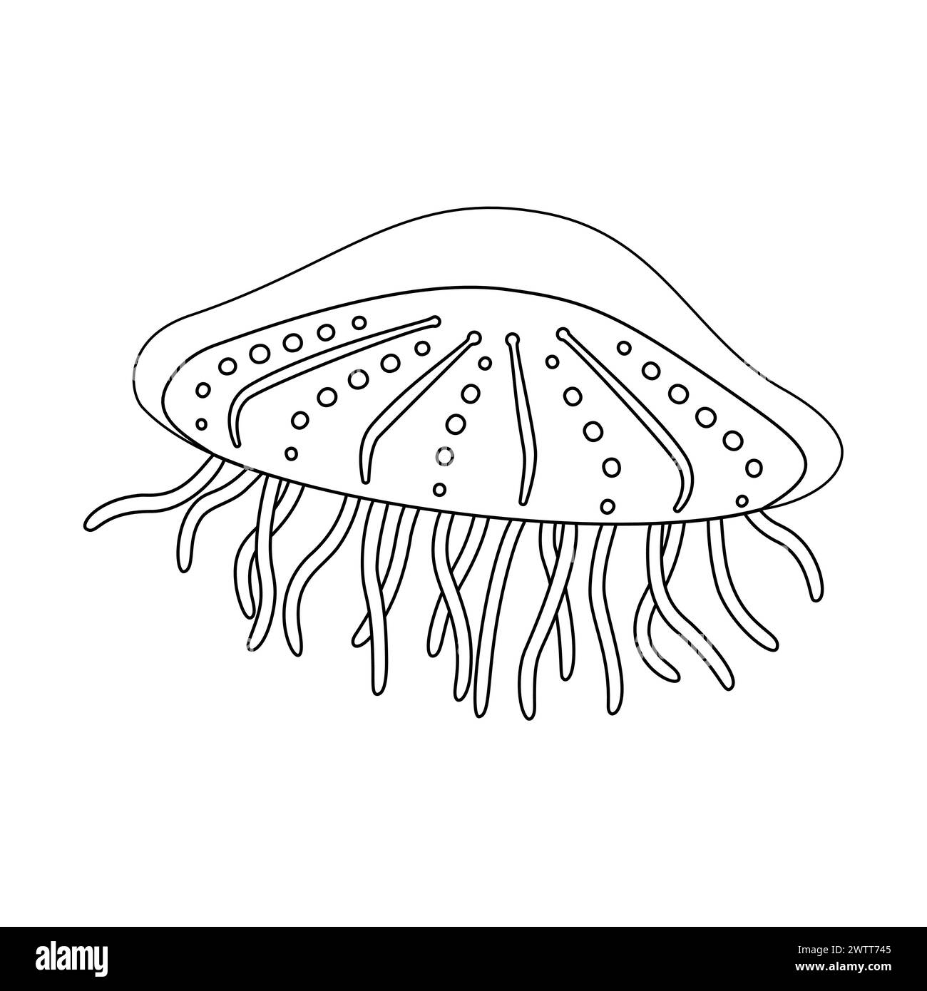 Quallen-Vektor-Illustration. Medusa Schwarzweiß-Umrissseite für Jellyfish-Malsachen für Kinder und Erwachsene. Seite für Entspannung und Meditation. Vektorabbildung Stock Vektor