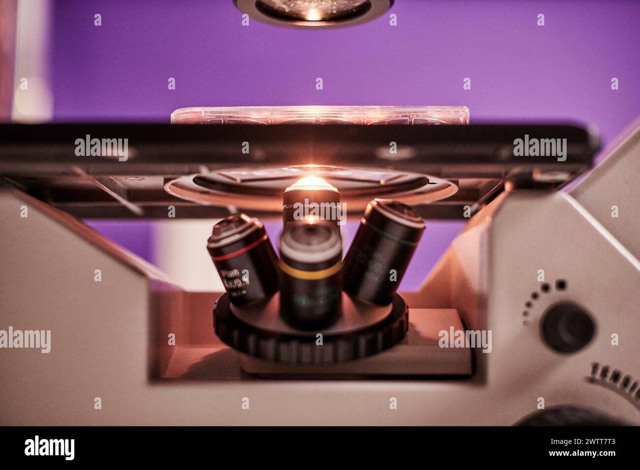 Mikroskop unter Licht, das dna-Material aus der Nähe untersucht Stockfoto
