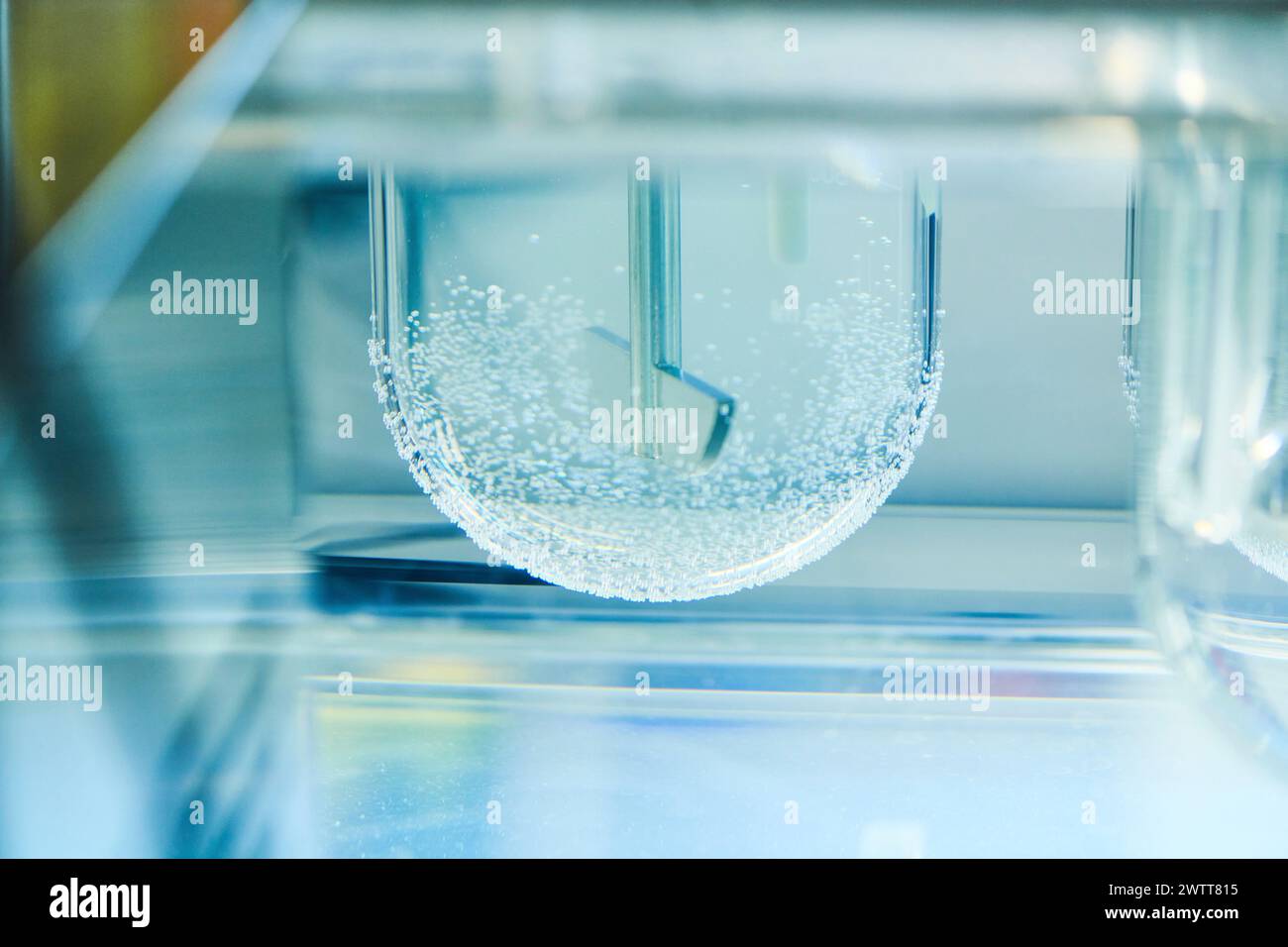 Nahaufnahme von Bechern mit Flüssigkeit in einem geschlossenen labor Stockfoto