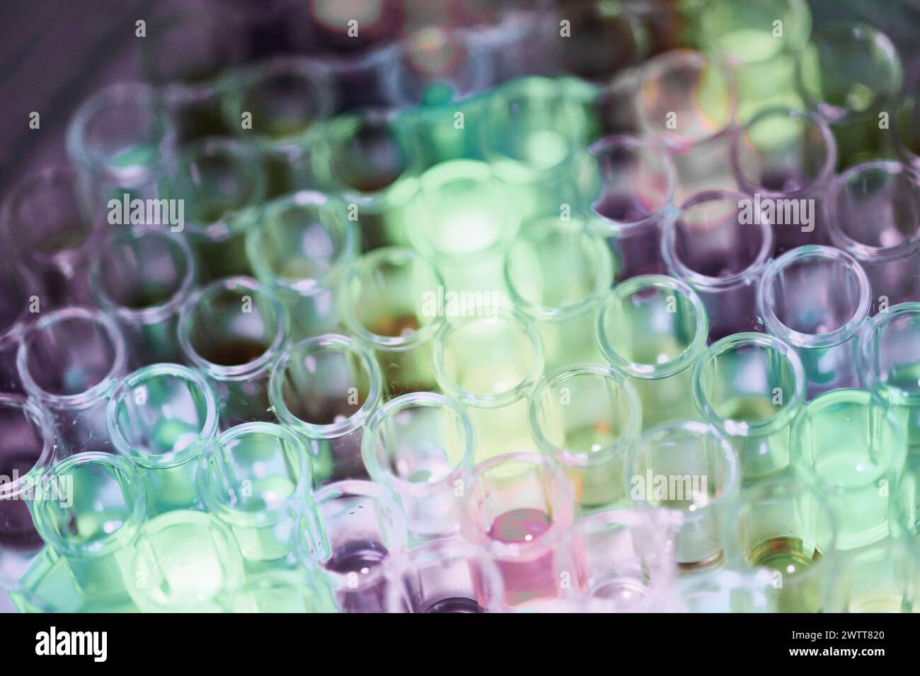 Schließen Sie das leere Reagenzglas in dem Inhalt für das Scient-Experiment Stockfoto