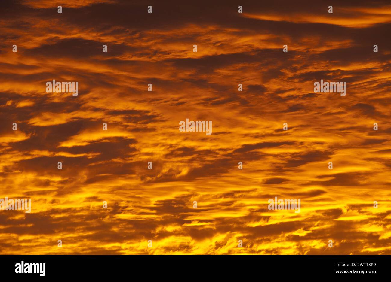 Sonnenaufgang in Columbia, South Carolina Stockfoto