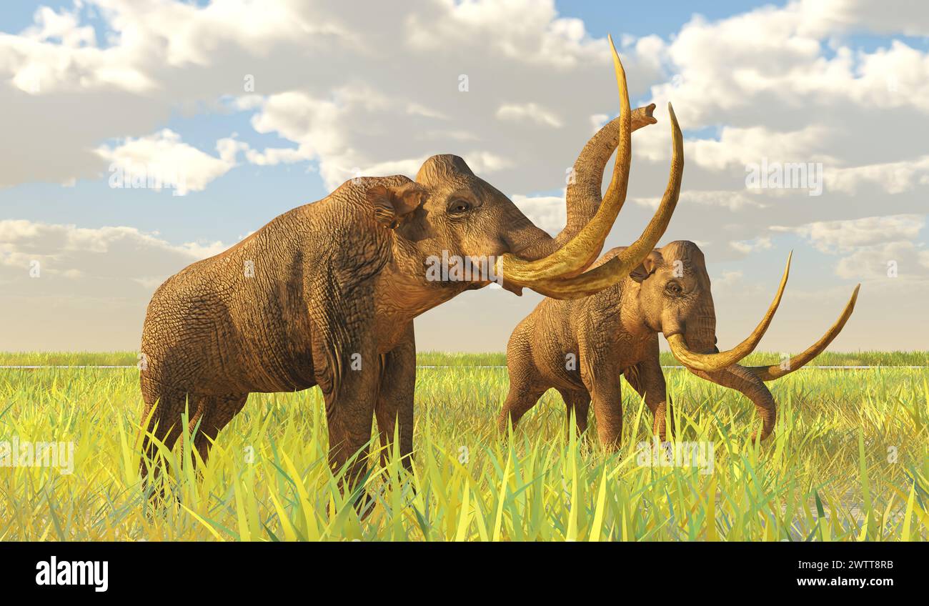 Das kolumbianische Mammut lebte während des Pleistozäns Nordamerikas. Stockfoto