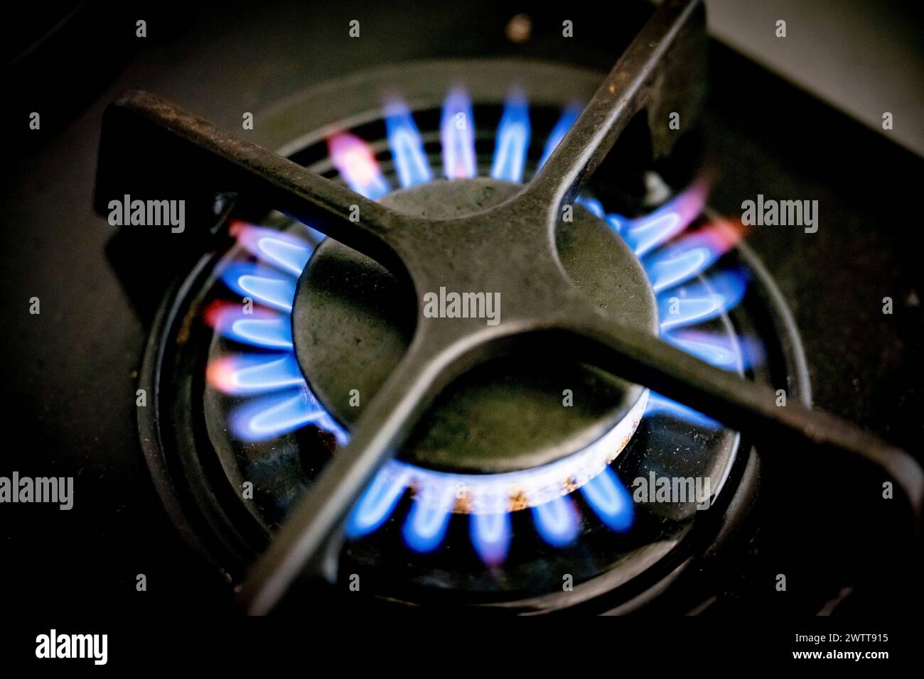 Eine Nahaufnahme eines brennenden Gasofens mit leuchtenden blauen Flammen. Stockfoto